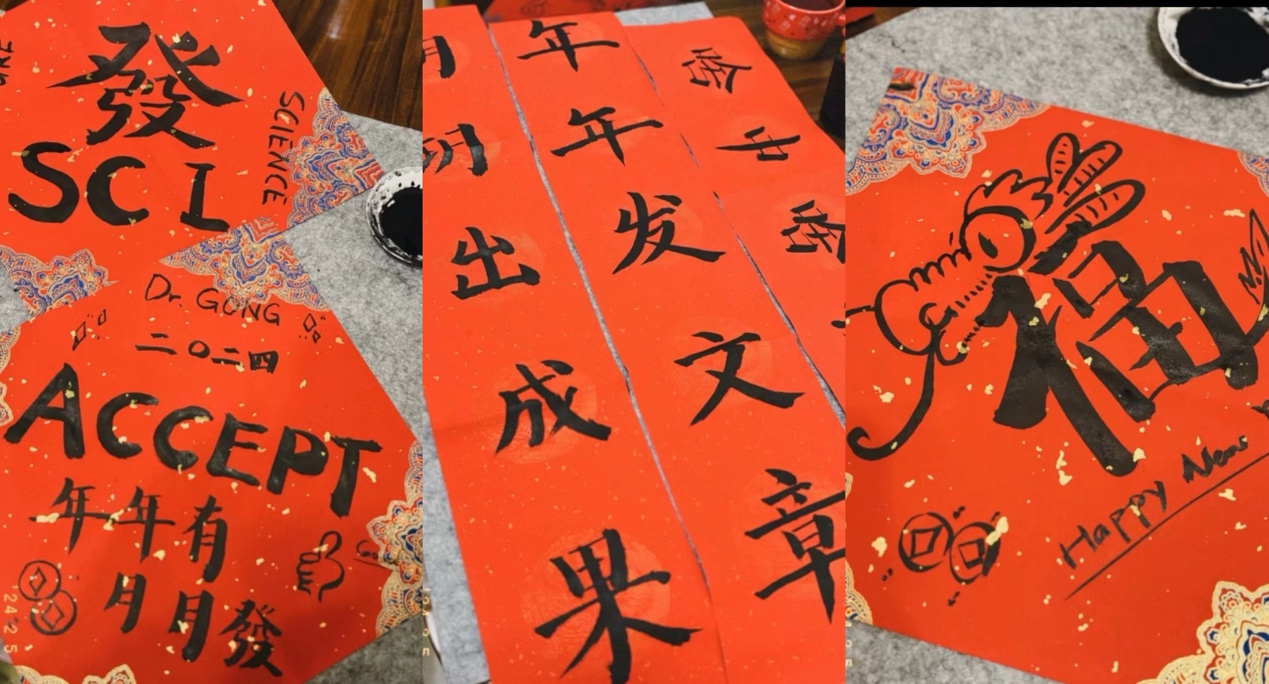 手写毛笔字、画漫画网友分享自家春联喜迎龙年(图6)