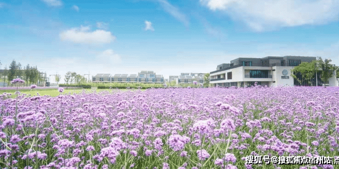 万科云之湾(万科云之湾)首页网站丨首付3万精装修2024楼盘详情(图4)