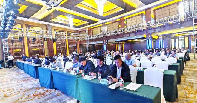 2024丰县楼梯展览会璀璨启幕聚焦“中国楼梯之都”新高度(图1)