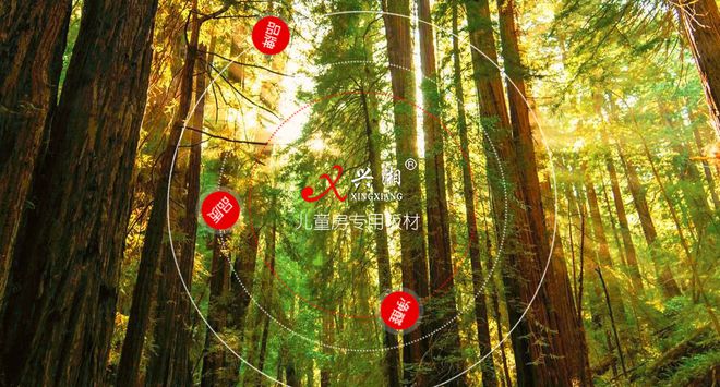 “中品榜”2024年度生态板十大品牌揭晓榜样力量引领行业新发展(图9)