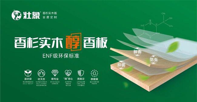 2024年中品榜环保板材十大品牌榜单公布:引领绿色家居新潮流(图2) 2024年中品榜环保板材十大品牌榜单公布:引领绿色家居新潮流(图2)
