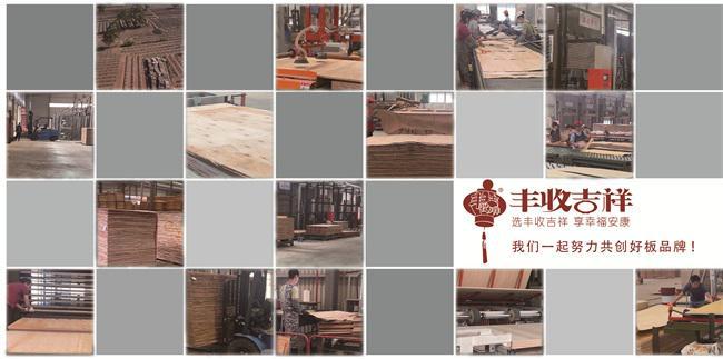 2024年中品榜环保板材十大品牌榜单公布:引领绿色家居新潮流(图11) 2024年中品榜环保板材十大品牌榜单公布:引领绿色家居新潮流(图11)