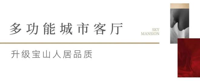 宝山天铂2024官方网站 最新楼盘资讯丨户型图丨区位优势(图7)