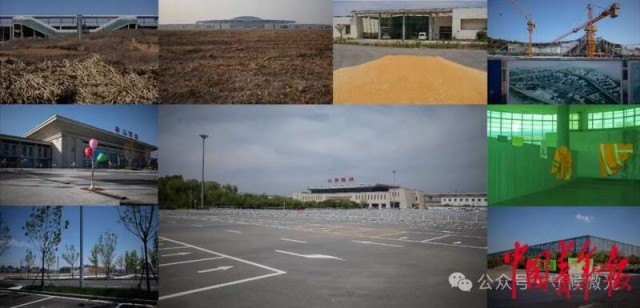 见天地见自己：中国青年报2024年度照片(图16)