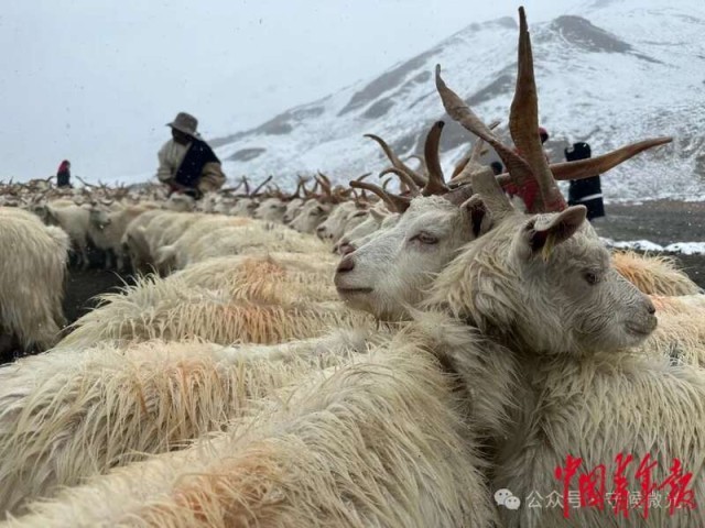 见天地见自己：中国青年报2024年度照片(图35)