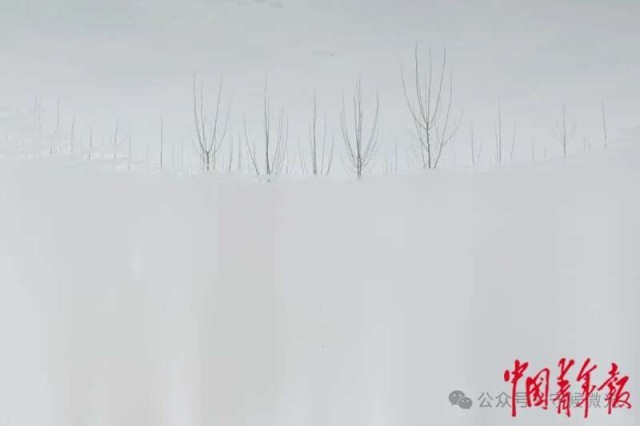 见天地见自己：中国青年报2024年度照片(图54)
