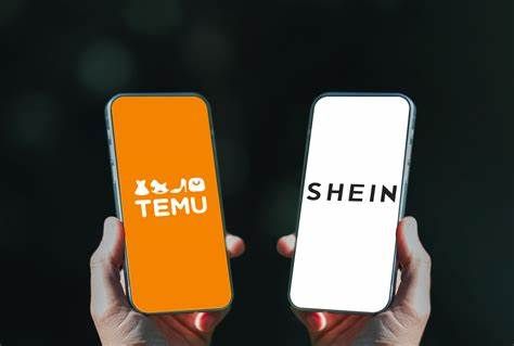 两家中国平台成2024年法国消费增长最快品牌！(图1)