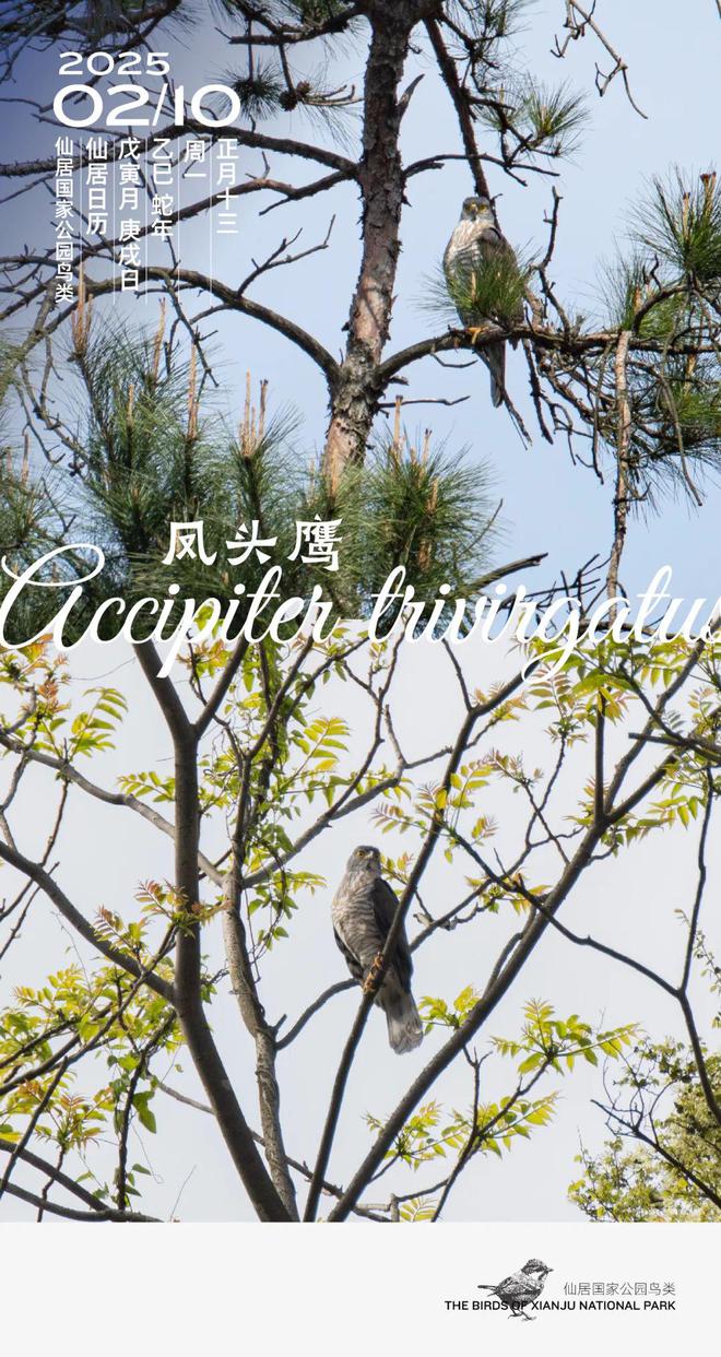 仙居2024年度亮点工作大盘点⑥ 县高铁新城开发指挥部(图12)
