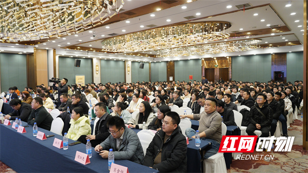 “新”刃出鞘破内卷局——金煌家装2025年度整装新品全国首发(图4) “新”刃出鞘破内卷局——金煌家装2025年度整装新品全国首发(图4)